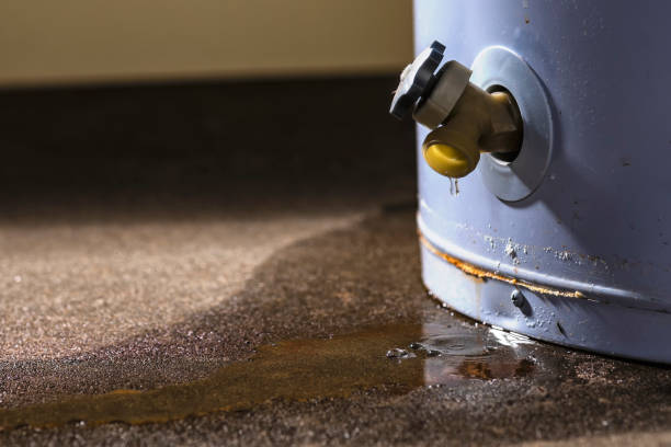 Best Fire Damage Restoration  in Rutherford, TN
