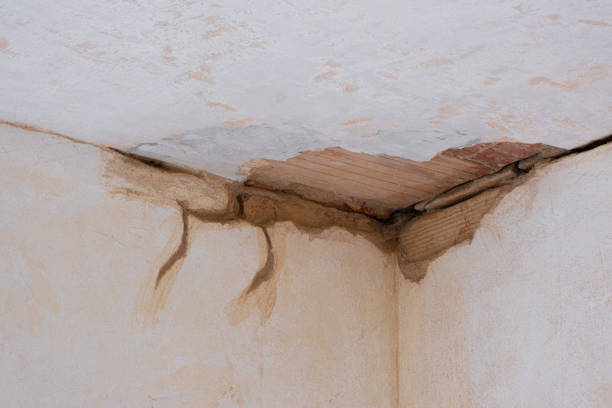 Best Water damage cleanup near me  in Rutherford, TN