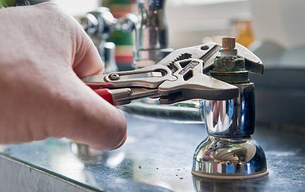 Best Mold removal after water damage  in Rutherford, TN