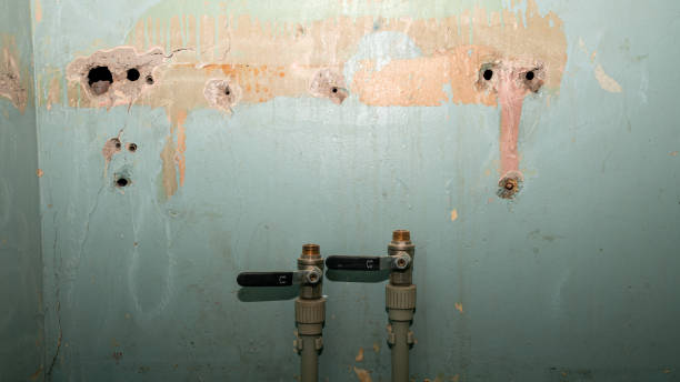 Best Flood damage cleanup  in Rutherford, TN