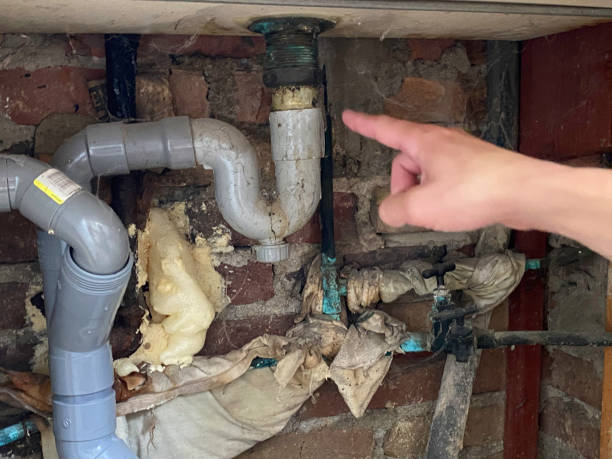 Best 24/7 water damage repair  in Rutherford, TN