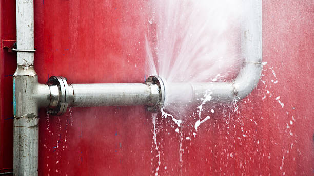 Best Basement water damage restoration  in Rutherford, TN